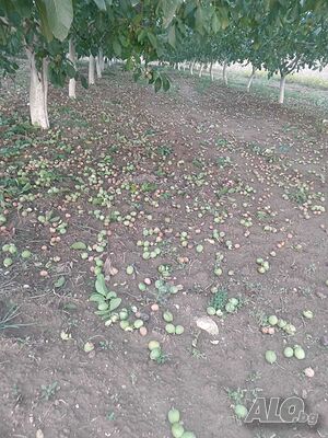 image_3