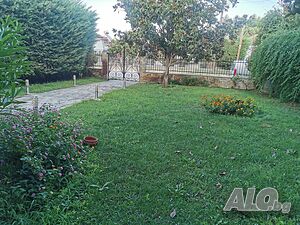 image_9