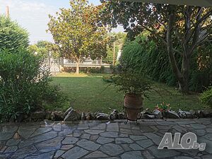 image_12