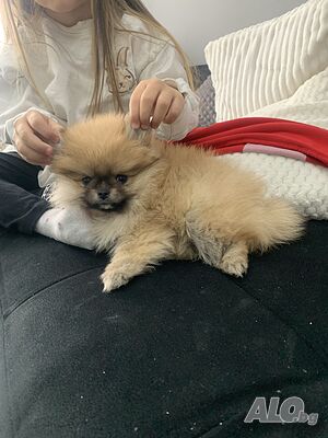 image_3
