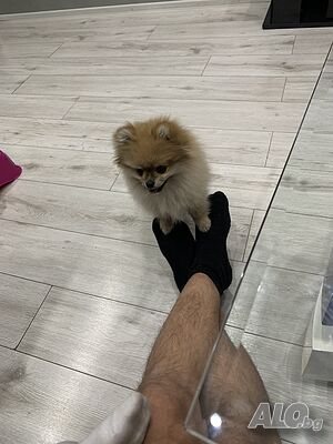 image_6