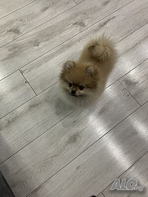 image_9