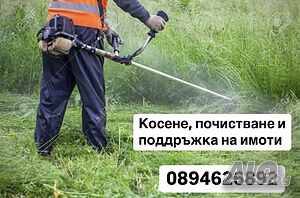 Косене, почистване и поддръжка на имоти