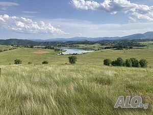 image_44