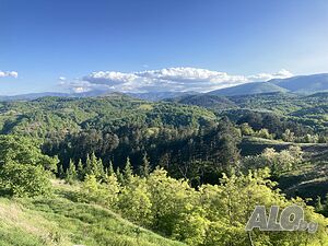 image_12