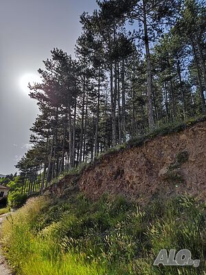 image_39