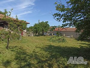 image_8