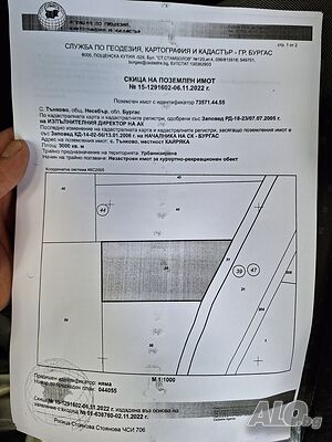image_6