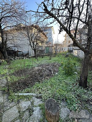image_9