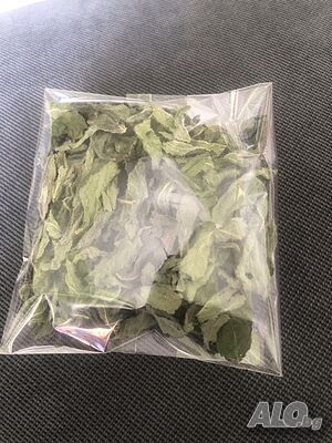Продавам мента