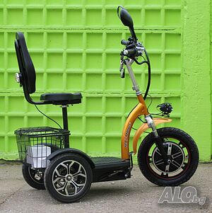 image_3