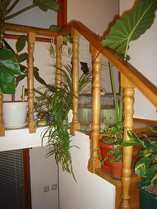 image_9