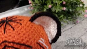 image_6