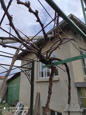 Самостоятелна къща в град Вълчи дол-Касабова