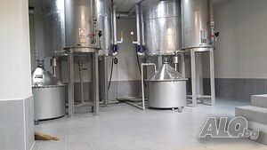 image_9