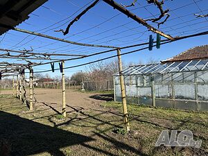 image_18