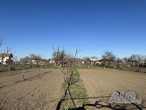 image_21
