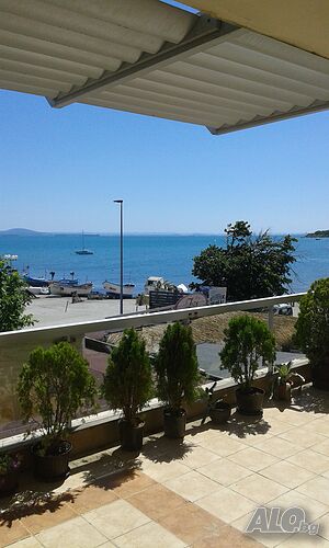 image_5
