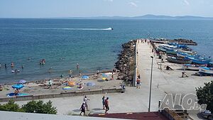 image_33