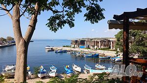 image_31