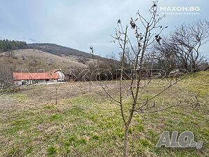 image_24