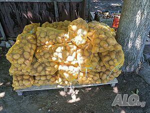 image_5