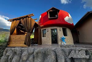 image_45