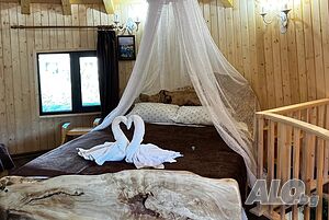 image_44