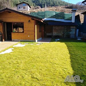 image_54