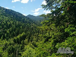 image_20