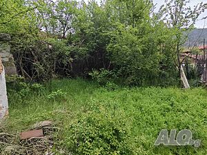 image_11
