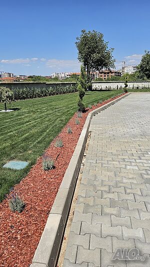 image_13