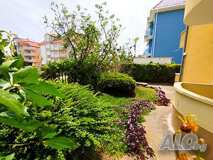image_8