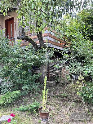 image_10