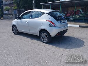 image_3