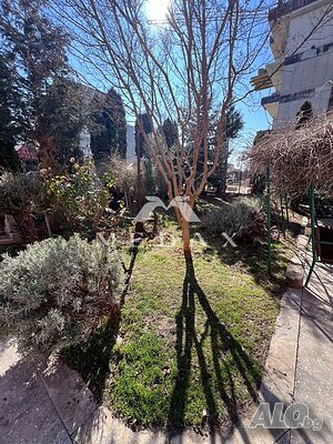 image_12