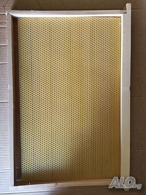 image_4