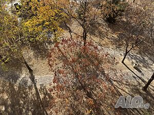 image_14