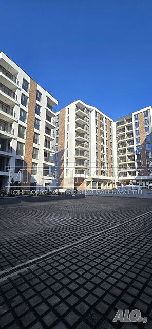 image_7