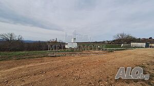 image_5