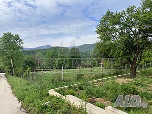 image_9