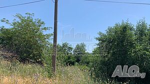 image_3