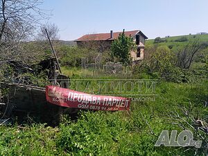 image_11