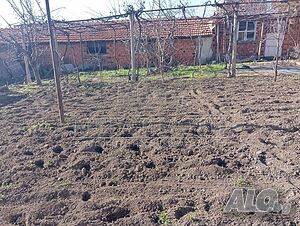 image_12