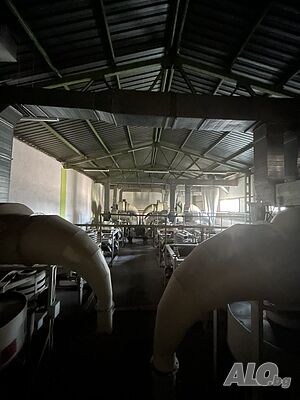 image_10