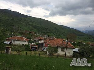 image_7