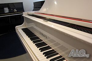 image_4