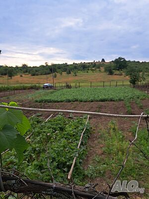 image_11