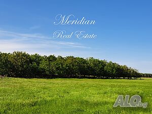 Продава се 9,043 дка. орехова градина, общ. Добрич