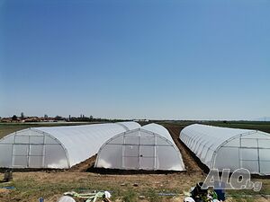 image_11